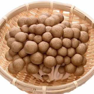 福岡産 ぶなしめじ 1袋・2株入