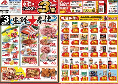 6月3日開始チラシ:表