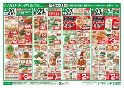 丼・カレー+コープフェア オモテ