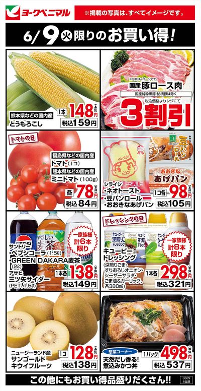 6/9限りのお買い得!