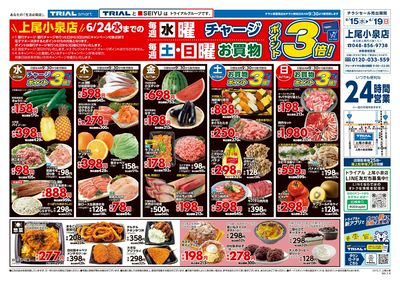 TRIAL smart 上尾小泉店_表