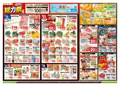 5/16号 総力祭/メロン集めました