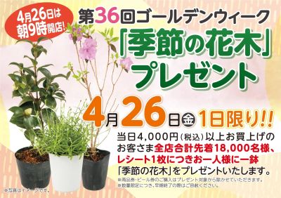 毎年大好評!4月26日(金)は「季節の花木プレゼント」を実施いたします。