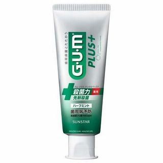 GUM プラス デンタルペースト ハーブミント 120g