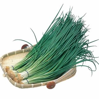 大分産 味一ねぎ 1袋