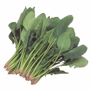 <青森県産他国内産>ほうれん草