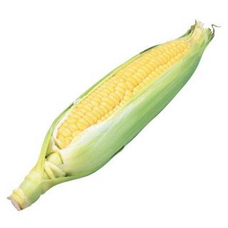 とうもろこし