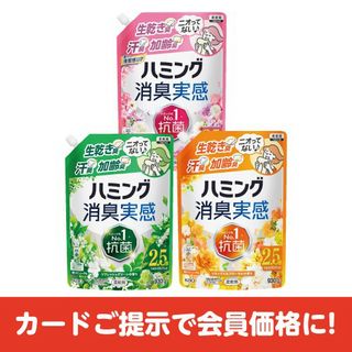 ハミング消臭実感 詰替用 各種