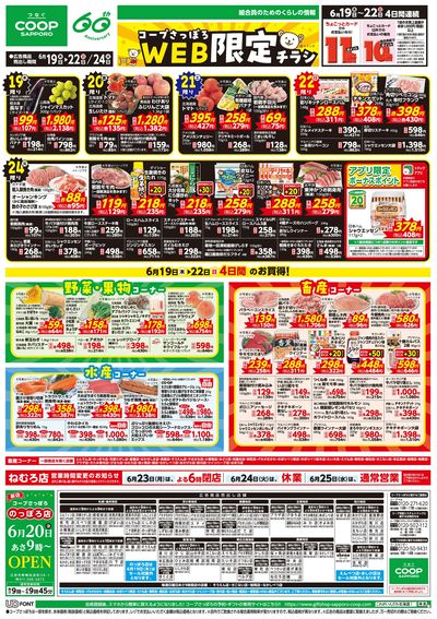 6/19号 WEB限定チラシ