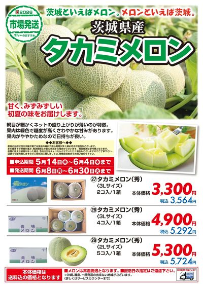 茨城県産 タカミメロン