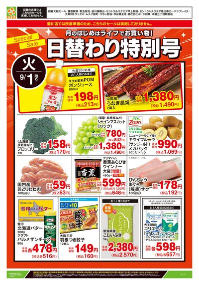 9/1号 日替わり特別号