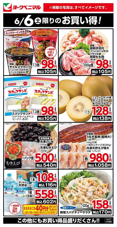 6/6限りのお買い得!