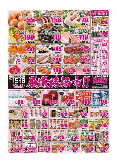 260915_発寒チラシ