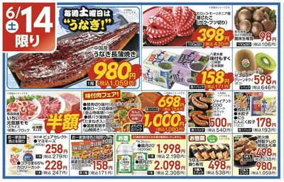 6/14(土)限定