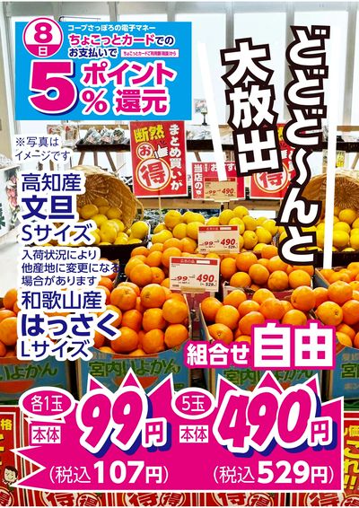3/8限り柑橘フルーツ大放出!! ちょこっとカードでのお支払いでお買上金額の5%ポイント還元!!