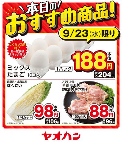 本日のおすすめ商品!