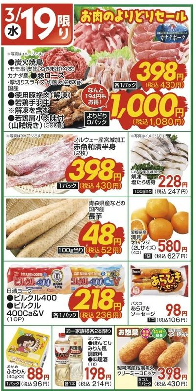 3/19(水)限定