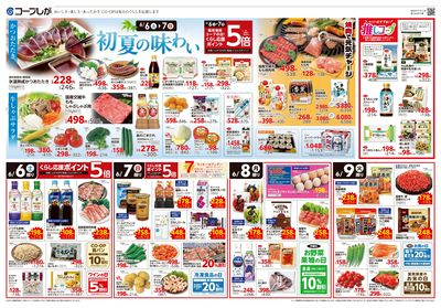 6月6日~6月9日チラシ表