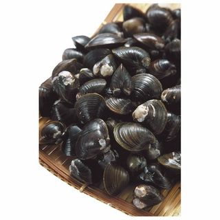 <十三湖産>しじみ貝