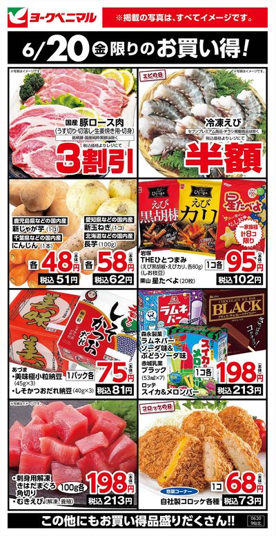 6/20限りのお買い得!