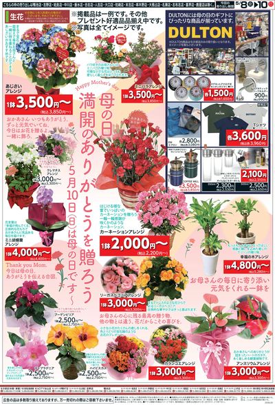 母の日特集