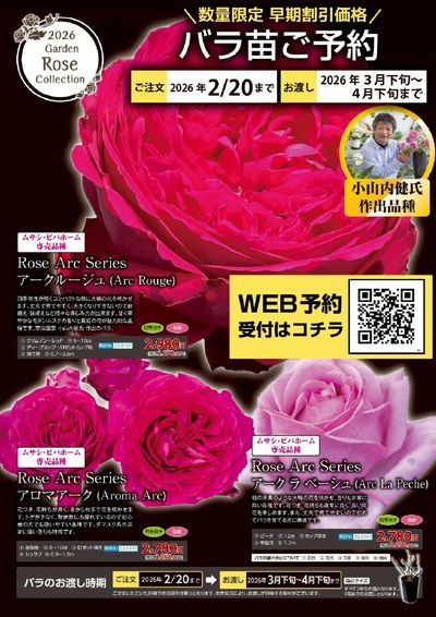 バラクレマチス苗予約受付中!