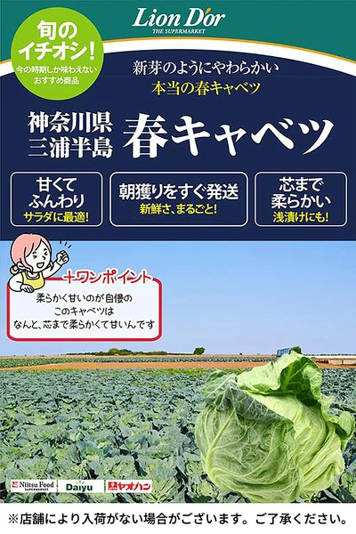 リオン・ドールのおいしさ宣言!