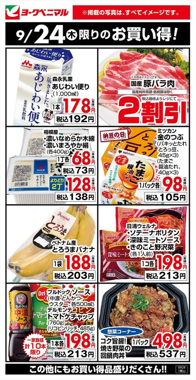 9/24限りのお買い得!