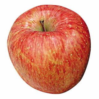 長野産又は青森産 サン富士 1玉