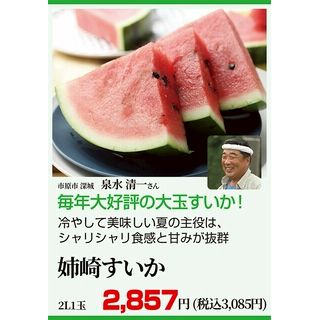 姉崎すいか2L1玉