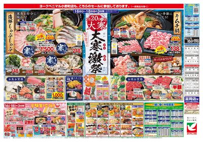 1/16号 ウラ