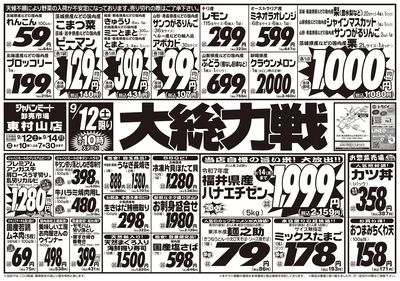 大総力戦