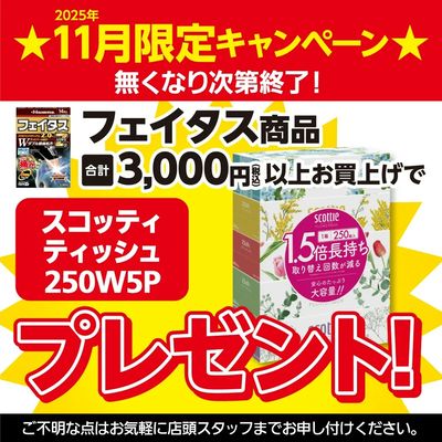 フェイタス商品税込3,000円以上ご購入で「スコッティティッシュ250W5P」プレゼント!
