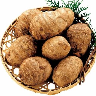 宮崎産 里芋 1袋