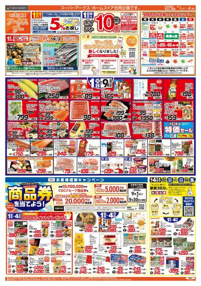 9/1-4  アークスデー