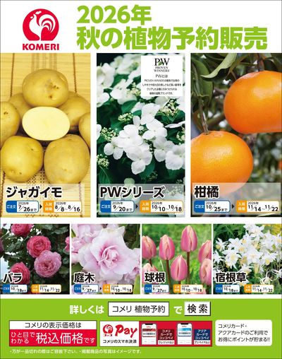 2026年 秋の植物予約販売