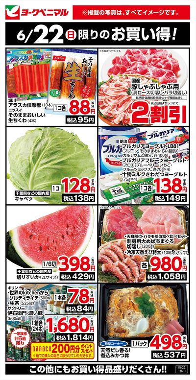 6/22限りのお買い得!