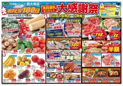 西大寺店OPEN100日大感謝祭 オモテ