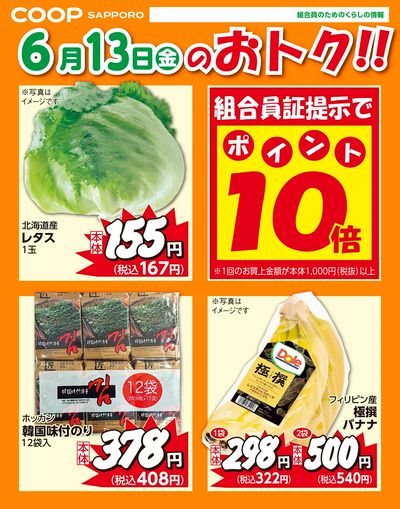 6月13日お買得品