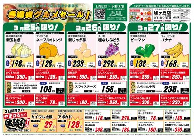 旭ヶ丘_表面20250325~20250330