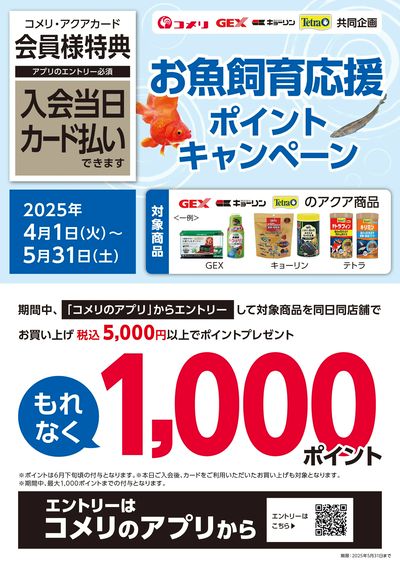 お魚飼育応援 ポイントキャンペーン