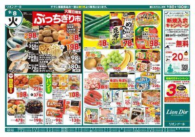 9/8号日替り3日間