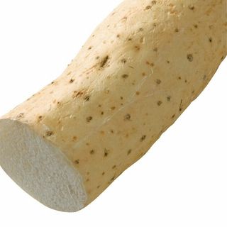 <青森県産>甲田さんの長いも