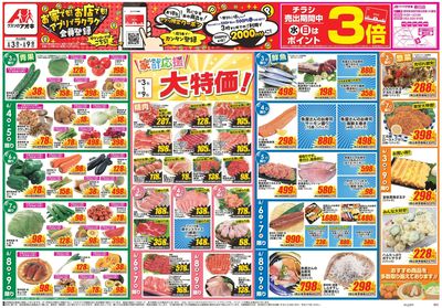 6月3日開始チラシ:表