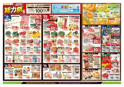 5/16号 総力祭/メロン集めました