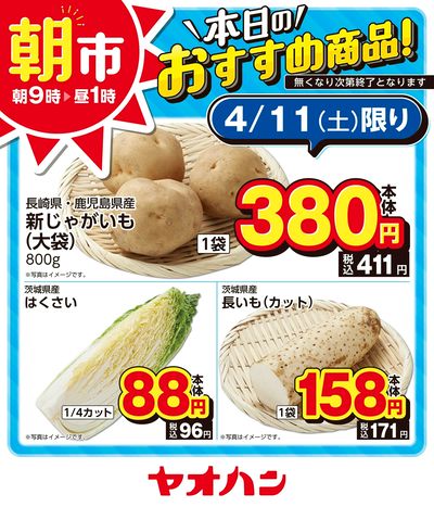本日のおすすめ商品!