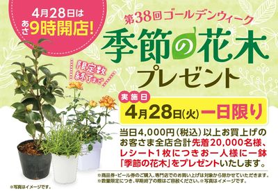 毎年大好評!4月28日(火)は「季節の花木プレゼント」を実施いたします。