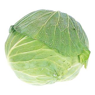 国内産 キャベツ 1玉