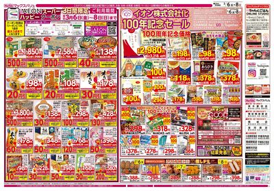 3/6号 イオン100周年記念特別価格/カメさんデー/春のごはん丼まつり:オモテ
