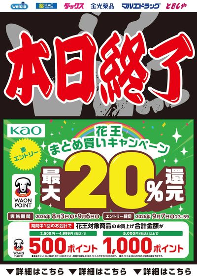 カウントダウン花王キャンペーン